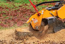 Best Root Management and Removal  in Cahokia, IL